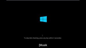So führen Sie CHKDSK beim Start von Windows 10/11