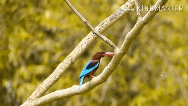 Nikon D3500 sample images(photography) смотреть онлайн