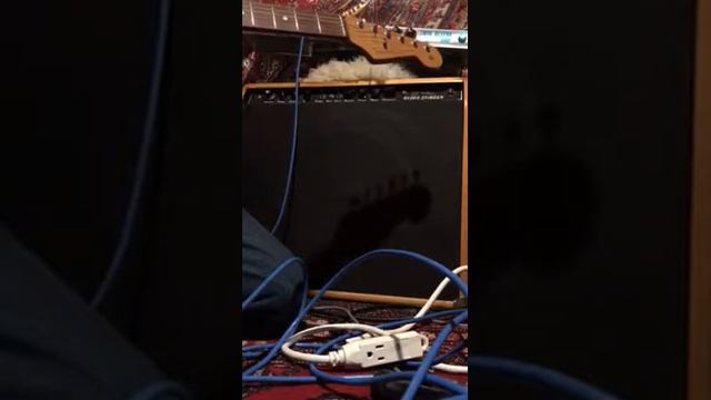 Tim Gallegos’ 68 Twin Reverb Custom before upgrades смотреть онлайн