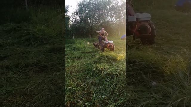 Окучивание картофеля, мотоблоком агрос))