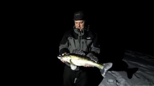 Рыбалка в Новогодние каникулы. Ночуем в палатке. Александровский затон. Самарская область.