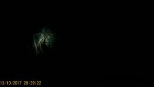 Как Мы Лучили рыбу Клев пошел 3 серия