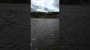 лодка Роджер Зефир 4000,Ямаха 9.9 (15),начало обкатки,р.Северная Двина,17.05.20