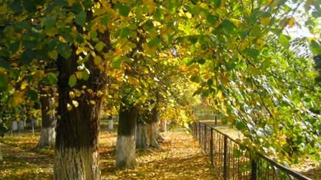 Красота осенней природы