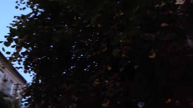 27.05.2022 Черновцы. Вечерняя воздушная тревога и в предчувствии "прилетов". Но обошлось! смотреть онлайн