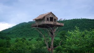 Как построить Дом с бассейном на Дереве высотой 12 м  (Часть I)