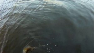 ВОБЛЕРЫ С АЛИЭКСПРЕСС В ДЕЙСТВИИ ЛУЧШИЕ КОПИИ ВОБЛЕРОВ ИЗ КИТАЯ