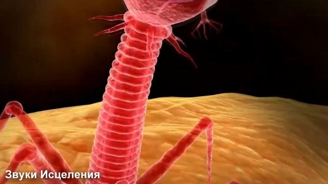 Послушайте это 5 Минут, Полное Исцеление Тела и Души, Массаж Мозга во Сне, Альфа Волны 432 Гц #1