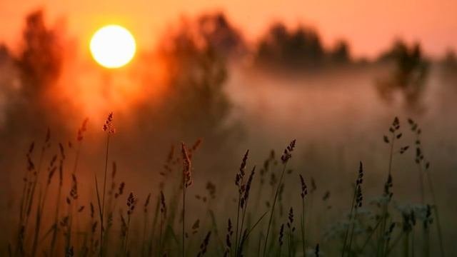 Как стать самодостаточным человеком