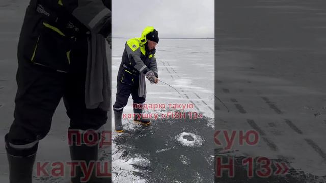 Подарю катушку «FISH 13»своему подписчику! Подробности розыгрыша в выпуске «НАПОРОЛИ СУДАКОВ»