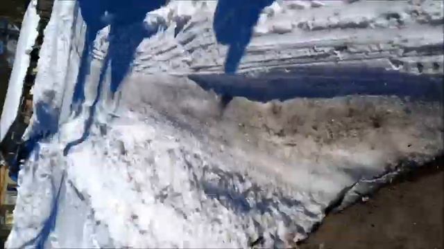 Стая собак.Шпиц и Дворняга.Размер не имеет значения. смотреть онлайн