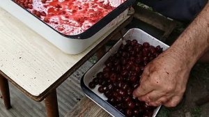 Быстро, просто удаляем косточку из вишни  Или как мы варим вишневое варенье