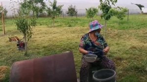 Влог:Купили Дом на Юге /Мы неожиданно оказались там/ Будни в Родительском доме...