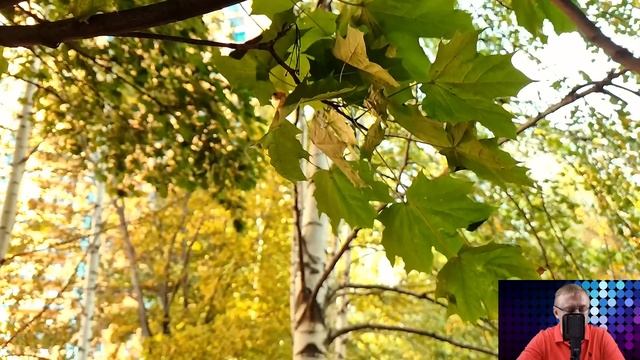 Разорившийся миллиардер приехал проведать мать, которую оставил 10 лет назад. Но подойдя к калитке. смотреть онлайн