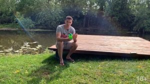 Как избавиться от комаров на участке? Обработка участка от комаров