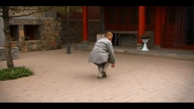 Shaolin Xiao Hong Quan.mp4 смотреть онлайн
