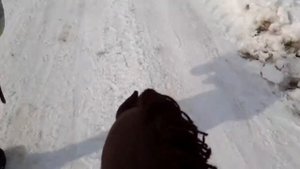 Отрывок с прогулки на хоббихорсах.