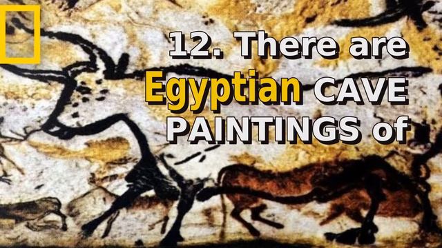 A group of frogs is called an army? | 20 Mad Facts смотреть онлайн