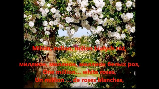 Milion Białych Róż - Миллион белых роз - A Million White Roses -  Polish Version