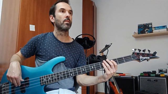 MUSE - WILL OF THE PEOPLE [Bass Cover] смотреть онлайн