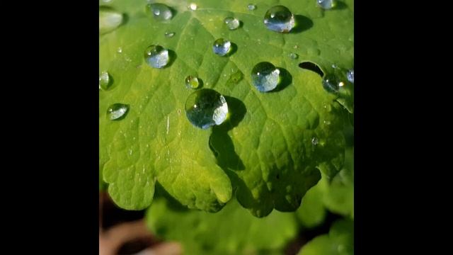 POEMS POETRY СТИХИ ПОЭЗИЯ стихи-рассказы смотреть онлайн