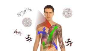 (AB Rh-) ЧЕТВЁРТАЯ ОТРИЦАТЕЛЬНАЯ ГРУППА КРОВИ | ЭТО НУЖНО ЗНАТЬ ВСЕМ!