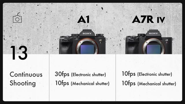 Sony A1 vs A7R IV Camera Comparison | Specifications 2021