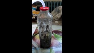 Генератор водорода