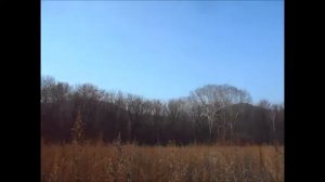 Панорама. Поздняя осень, лес и сопки вокруг