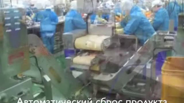 Чамко линия конвейерная для обработки рыбы