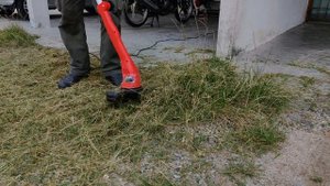 BLACK & DECKER GL300 Grass Trimmer 300w