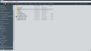 ?\\\КАК ИСПРАВИТЬ ОШИБКУ ПРИ ЗАПУСКЕ ПАЛАДИНС\\\?