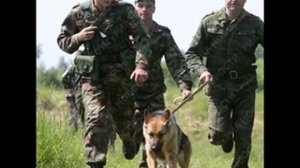 Застава в ружье wmv