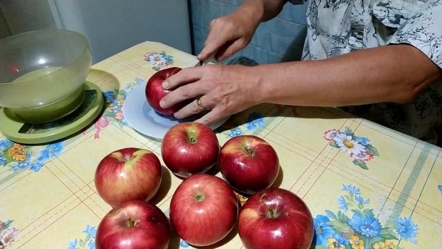 Дегустация плодов яблони 