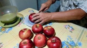 Дегустация плодов яблони "Уэлси"