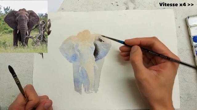 Watercolor elephant with 2 color - Painting no drawing смотреть онлайн