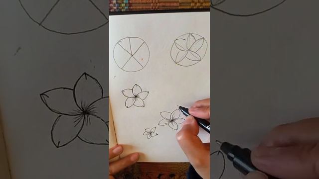 How to draw Plumeria flower||#short