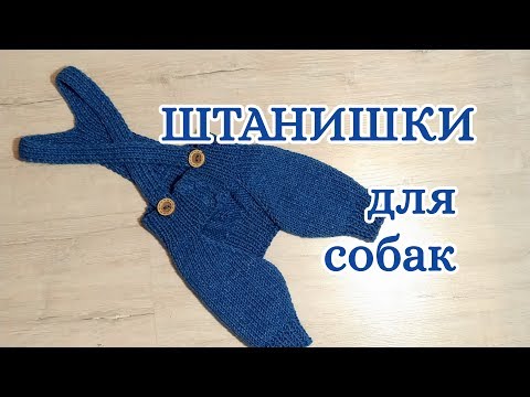 Как связать Штанишки для собак и кошек спицами,