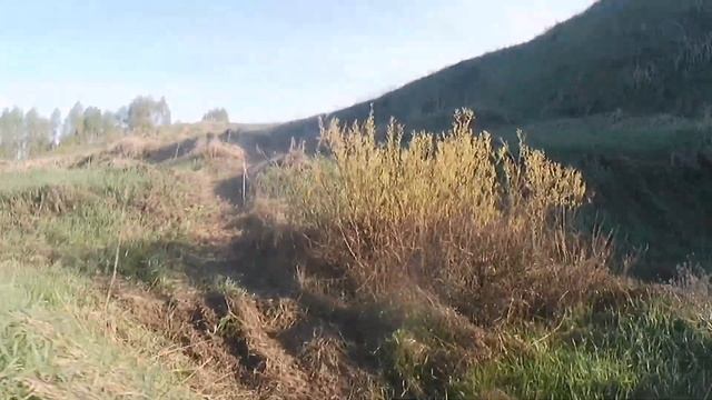 домашний трек для разминки смотреть онлайн