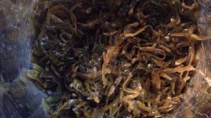 Салат из морской капусты