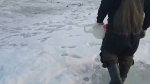 Тавричанка 04.03.2021👍Спасибо Николай🎣