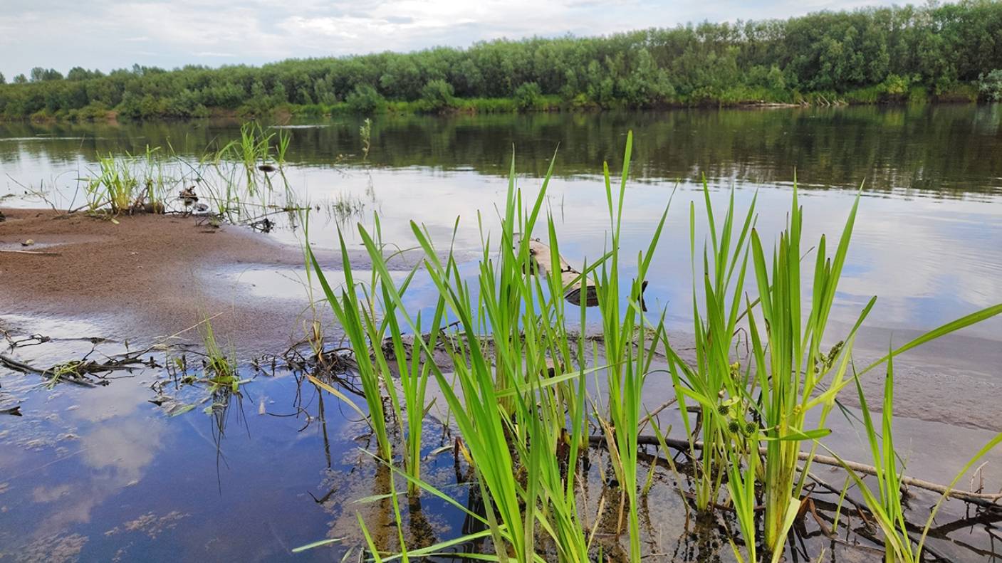 Рыбалка на острове с ночёвкой. Очень красивые места реки Вятка. Часть 1.