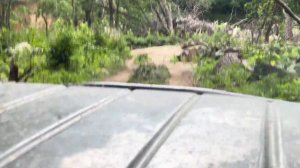 Дорога до национального парка Милоградовка. Часть 1