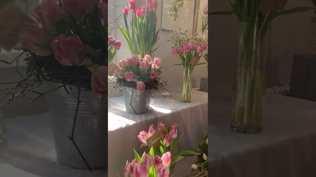 Красота в Ботаническом Саду ?#санктпетербург  #ботаническийсад