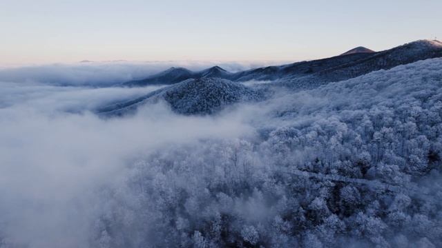 MUSIC FOR THE SOUL | RELAX MUSIC | ДУШЕВНАЯ МУЗЫКА | смотреть онлайн