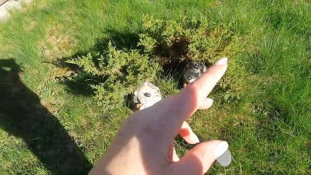 Уход за Руками в Летнее Время?Недорогой, но Практичный Подарок Девушкам?Наш Сад-Огород?