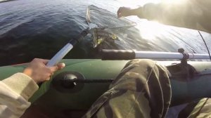 Удачная рыбалка. Щука на вертушку Mepps Black Fury 4 р. Днепр.