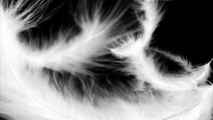 Футаж Переходы разные сборка