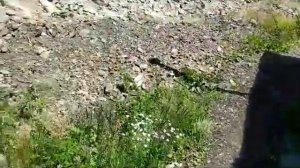 АССАЛАМУ   АЛЛАЙКУМ     ЧАРАДИНСКОЙ  РАЙОН      СЕЛО   ГИЛИБ