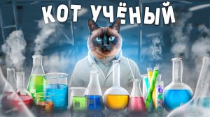МОЙ КОТ УЧЁНЫЙ
